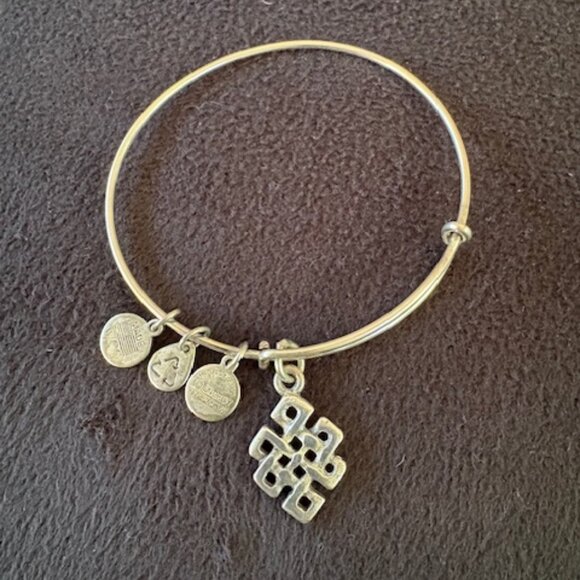 Vintage Alex + Ani Celtic Eternity Knot Rafaelian Silver Expandable Bracelet - Picture 1 of 3
